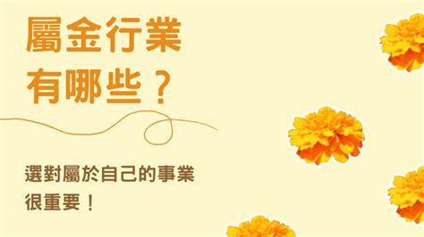 金土行業|選對屬於自己的事業很重要！屬金行業有哪些？【五行…